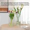 Uniquewise Set of 2 Square Frosted Clear Glass Table Vase - A Timeless Centerpiece for Dining Tables QI004738.CR.2 - alternate 6