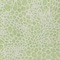 Homeroots 5' X 8' Artichoke Green And Ivory Geometric Washable Indoor Outdoor Area Rug 595044 - alternate 6