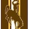 Coverking UNIVERSAL ULTISUEDE SEAT COVER DESIGNER 1PC, THE UNIVERSITY OF WYOMING, ELA064 USCSELA064 - alternate 2