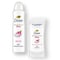 Dove Dragon Fruit and Coconut Cream Deodorants Stick, 2.6 Ounce, 12PK 64350892 - alternate 5