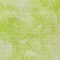 Homeroots 5' X 8' Artichoke Green And Lime Green Nautical Washable Indoor Outdoor Area Rug 581720 - alternate 6