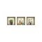 Homeroots Set of Three Mya Faux Niche 3D Peel and Stick Wall Decals, 3PK 565413 - alternate 3