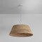 Troy Lighting Sequoia 1 Light Pendant, Textured Bronze, 36 In x 23 In F2836-TBZH - alternate 4
