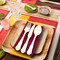 Smarty Had A Party Silhouette Birch Wood Eco Friendly Disposable Dinner Forks (600 Forks), 600PK 4666FK-CASE - alternate 9