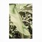Trademark Fine Art Outdoor Canvas Art - Shot by Clint 'Lime Lightning' Wall Art for Patios, or Gardens 1X25281-OC1219WR - alternate 6