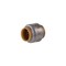 Sharkbite Brass Pipe End Cap: 3/4" Fitting, Push-to-Connect x Push-to-Connect, Lead Free U518LF - alternate 3
