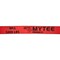 Mytee Products Winch Strap 4 inx30 ft Red Tie Down w/Delta Ring WLL# 5400 lbs for Truck, 10PK WS430D-Rx10 - alternate 5