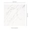 Msi Regallo Calacatta Isla Sample Matte Porcelain Floor And Wall Tile ZOR-PT-0841-SAM - alternate 4
