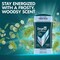Degree Men Advanced Everest Frosty and Piney Antiperspirant Deodorant Stick, Twin Pack, 5.4 Ounce, 6PK 64348425 - alternate 7