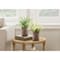 Monarch Specialties Artificial Plant, 12-in. Tall, Mullberry Grass, Table, Brown Cement Pots, Contemporary, 2PK I 9360 - alternate 3