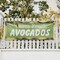 Signmission Farm Fresh Avocados, 24 Inch x 72 Inch, Vinyl Banner B-72-30575 - alternate 4