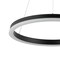 Jonathan Y Baxter 23.5" 1-Light Modern Contemporary Aluminum Integrated LED Hoop Pendant, Black JYL7200B - alternate 6