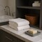 Homeroots Set of Two Ivory Cotton 13" X 13" Quick Dry Terry Cloth Washcloths, 2PK 700326 - alternate 4