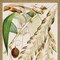Homeroots Set Of Four Tropical Variety Gold Framed Print Wall Art, 4PK 525175 - alternate 3