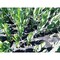 Tenax Hortanova 48''x8 ' Polypropylene Trellis Netting 2A150057 - alternate 4