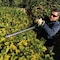 Makita Brushless 24" Hedge Trimmer 18V Lxt XHU09Z - alternate 12