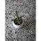 Apollo Tile Gray 11.8 in x 11.8 in Glass Glossy Floor and Wall Mosaic Tile 4.83 sqft/case, 5PK APLGEM8812A - alternate 6