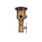 Zurn 3/4 in. FNPT X 3/4 in. FNPT Bronze Pressure Vacuum Breaker Assembly 34-720A - alternate 4