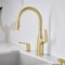 Blanco Rivana Pull-Down 1.5 GPM, Satin Gold 442985 - alternate 5