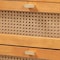 Baxton Studio Jenn Golden Brown Wood Japandi 3-Piece Storage Set with Distressed-Finished Rattan 253-13946-13947-13948-ZORO - alternate 6