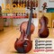 Pyle 1/4 Size Beginner Violin Starter Kit, Violin Starter Package with Travel Case & Bow, Extra Strings PGVILN14 - alternate 3
