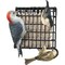 Suet Plus Berry & Peanut Suet, 20PK 282 - alternate 2