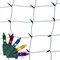 Celebrations Classic LED T5 Multicolored 100 ct Net Christmas Lights 4 ft. RNT100MTA - alternate 5