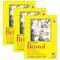 Strathmore 300 Series Bristol Pad, Smooth Finish, Tape Binding, 20 Sheet, 9x12 inch, 3PK P342-9-03 - alternate 1