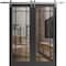 Sartodoors Sturdy Double Barn Door with Clear Glass, Lucia 2266 Matte Black and Aluminum Strips, 13FT Rail Ha LUCIA2266DB-S-BLK-36 x 96 - alternate 1