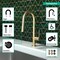 Hansgrohe Talis N HighArc Kitchen Faucet, A-Style, 2-Spray Pull-Down, w/ sBox, 1.75 GPM in Brushed Gold Optic 72850251 - alternate 2