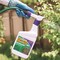 Bonide Weed Beater Plus Weed and Crabgrass Killer RTS Hose-End Concentrate 32 oz 066 - alternate 6