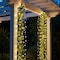 Elegani Indoor/Outdoor 100 LED String Warm White Lights with Flexible Clear Wire - 33ft, Waterproof PH-100-LD-WWH - alternate 2