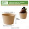 Ecoquality 4oz Compostable Portion Cup No Lids - Condiments Single Serve Souffle Cups, 400PK EQ4OZCPC-400 - alternate 6