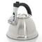 Mr Coffee Collinsbrook 2.4 Quart Stainless Steel Whistling Tea Kettle 98239.01 - alternate 1