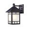 Homeroots Petite Antique Bronze Frosted Glass Lantern Wall Light 398638 - alternate 1