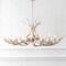 Jonathan Y Eldora 49" 10-Light Rustic Farmhouse Adjustable Resin Antler LED Chandelier, Beige JYL6320B - alternate 7