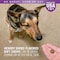 Vetiq 7.4 Oz. Calming Dog Chew, 60PK 183172 - alternate 5