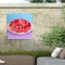 Trademark Fine Art Outdoor Canvas Art Key and Sea Strawberry Jello Wall Art for Patios, or Gardens 1X28339-OC2424WR - alternate 4