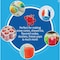 Kool Aid 16 Oz. Blue Raspberry Snow Cone Syrup KASCSYRP16BLRSP - alternate 4
