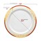 Smarty Had A Party White w/Burgundy and Gold Harmony Plastic Dinnerware Set (120 Dinner Plates+120 Salad Plates), 240PK 640BGVP-CASE - alternate 9