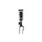 Fcs Struts Suspension Strut And Coil Spring Assembly 1355075R - alternate 1