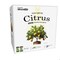 Miracle Led Citrus Tree Starter Grow Light Kit, 4KK Full Spectrum, 2PK 803397 - alternate 1