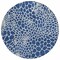 Homeroots 8' Navy Blue And Ivory Round Geometric Washable Indoor Outdoor Area Rug 595099 - alternate 6