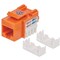Intellinet Network Solutions CAT6 ORANGE KEYSTONE JACK UTP 210775 - alternate 1