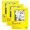 Strathmore 300 Series Bristol Pad, Smooth Finish, Tape Binding, 20 Sheet, 11x14 inch, 3PK P342-11-03 - alternate 1