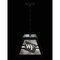 Holland Bar Stool Wake Forest University Pendant Box Light BxLM1 - alternate 4