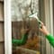 Libman Commercial Libman Shower Squeegee, Sanoprene blade, 8" wide 1070 - alternate 3