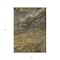Homeroots 3' X 5' Brown Taupe And Chocolate Abstract Washable Indoor Outdoor Area Rug 577823 - alternate 6
