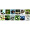 House Of Doolittle Monthly Desktop Tent Calendar, Earthscapes, 12 Months, Jan-Dec, 8.5 in x 4.5 in, Wildlife 3689 - alternate 2