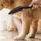 Hansgrohe Dog Shower Dog Shower + Quick Connect, 3-Spray, 1.75 GPM, in Black 04973670 - alternate 7